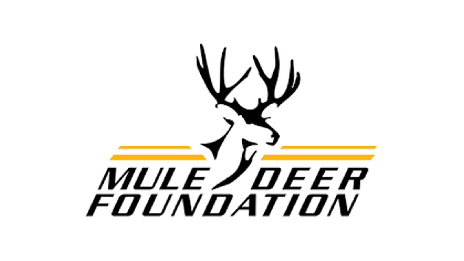 Mule Deer Foundation Banquet photo