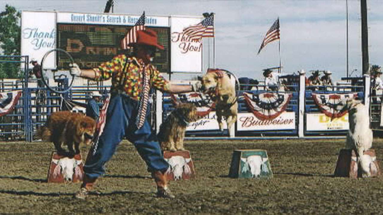 Image Description