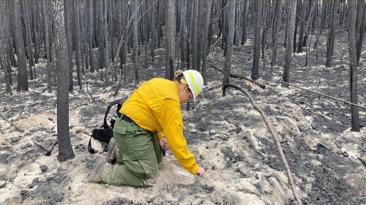 Nov. 3 meeting will discuss post-wildfire assessment of 25-Mile Fire