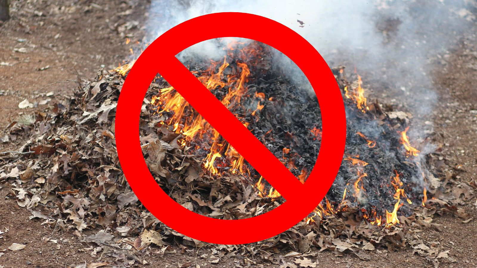 Fire restrictions lowered beginning Oct. 14; outdoor debris burning still banned
