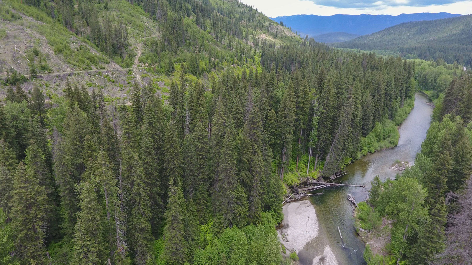 State's newest community forest established at Nason Ridge