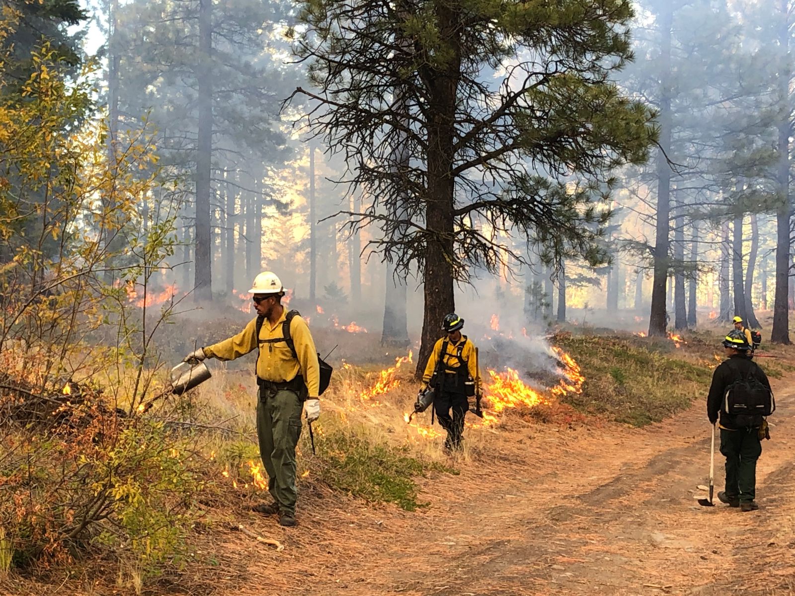 Stemilt Basin Broadcast Burn for Forest Health