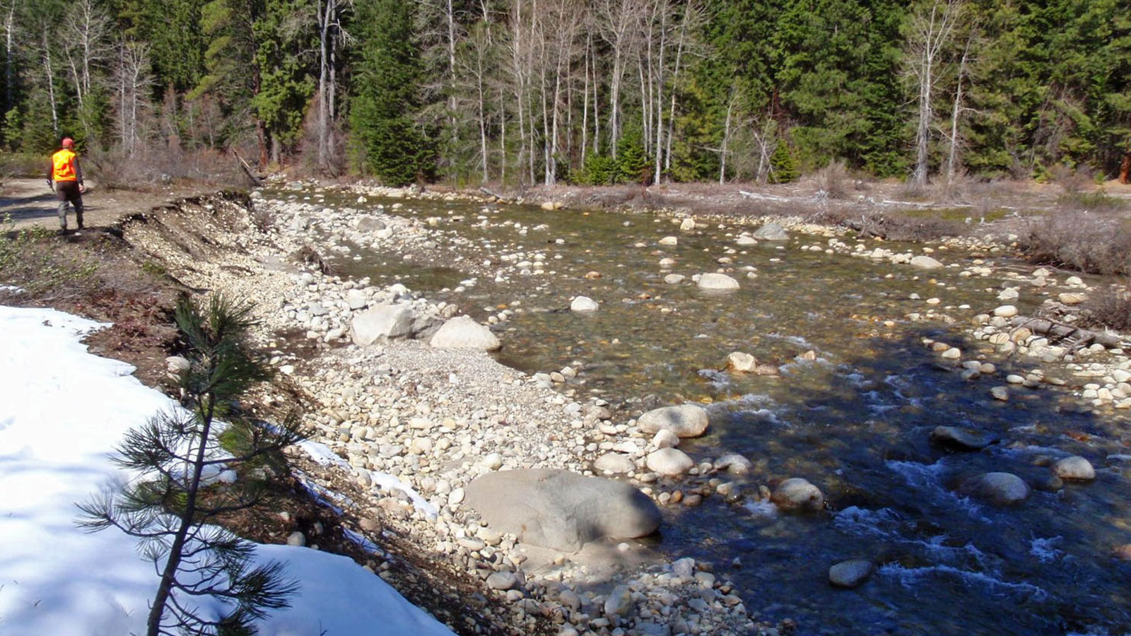 Natural Resources receives $656,000 for salmon recovery efforts