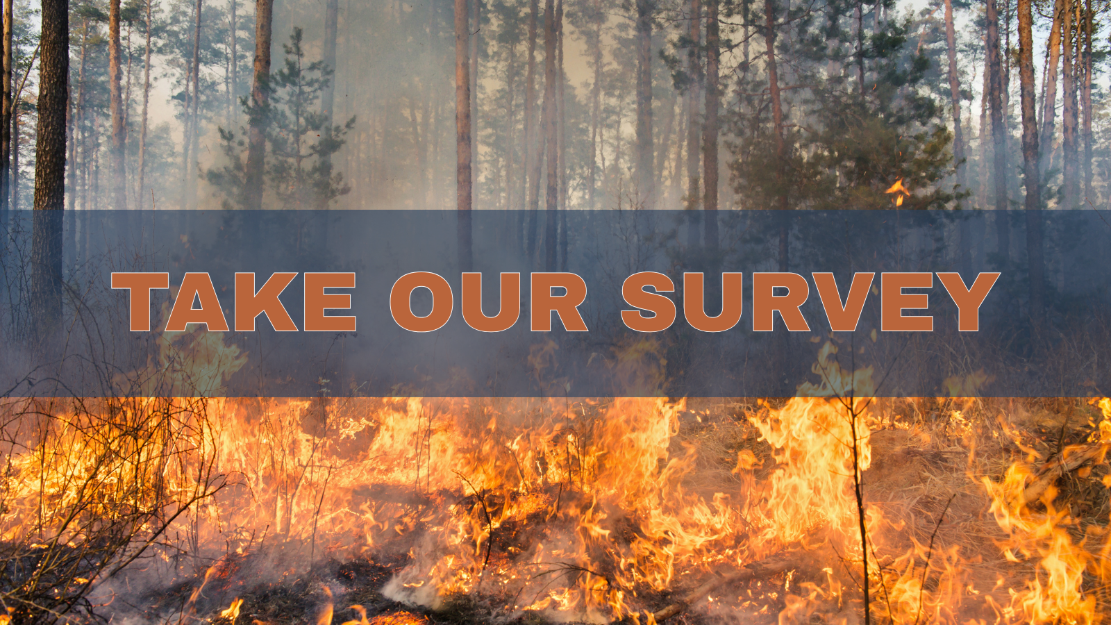 Take our survey to join local conversation on climate resilience
