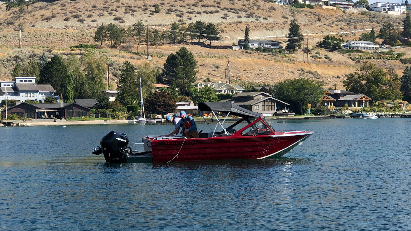 Survey shows growth of aquatic invasive species in Lake Chelan