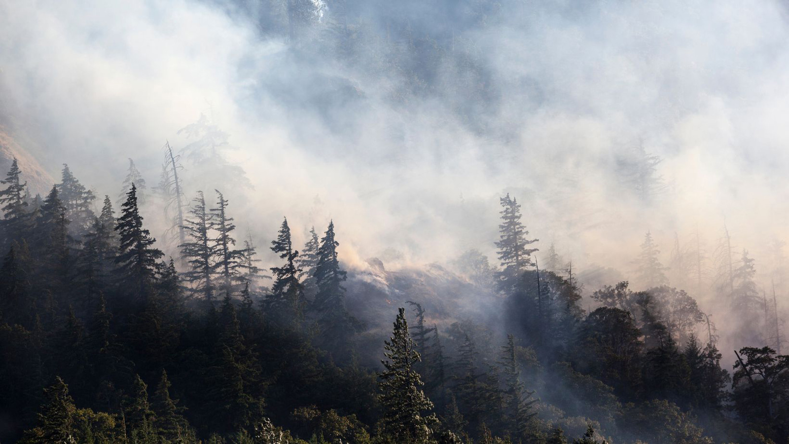 New family friendly event focuses on wildfire smoke, its impacts to health