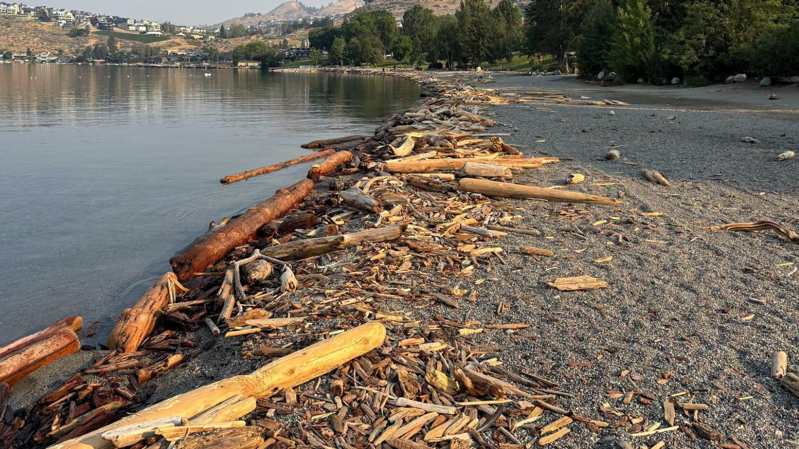 County secures grant to begin assessment of woody debris at Lake Chelan
