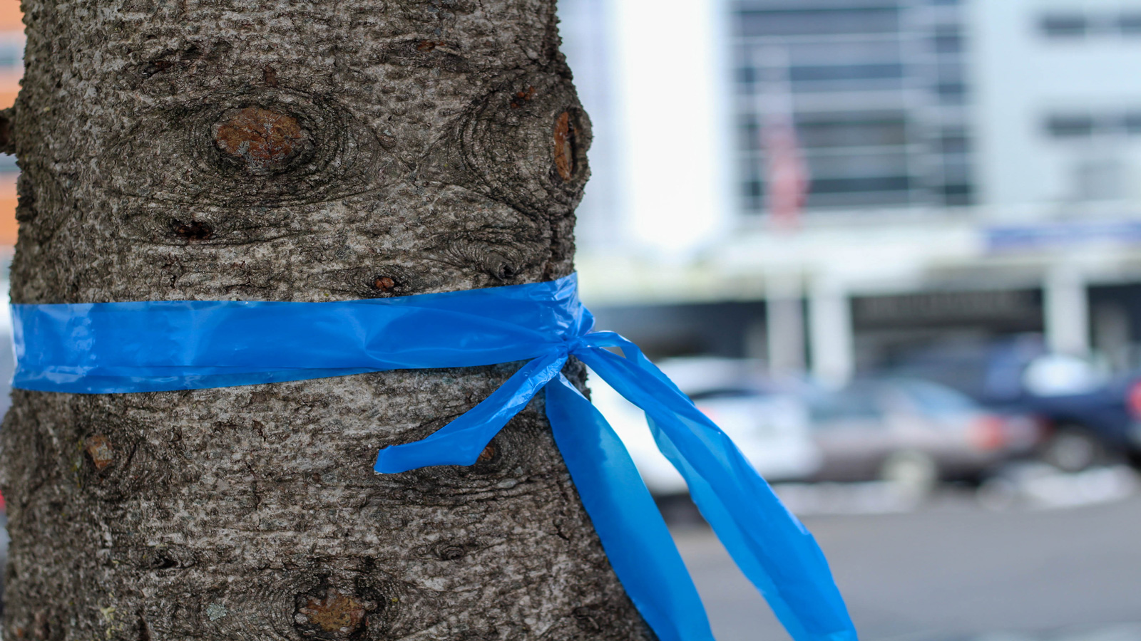 Show support for our healthcare workers by joining blue ribbon campaign