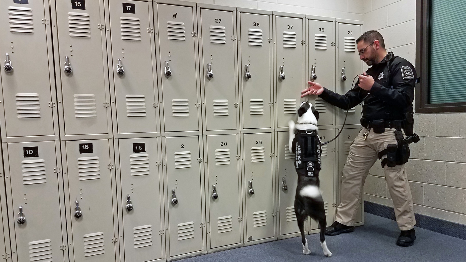 Jail’s narcotics dog to be utilized in some local schools