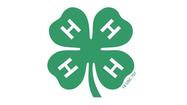 4-H Demonstration Day